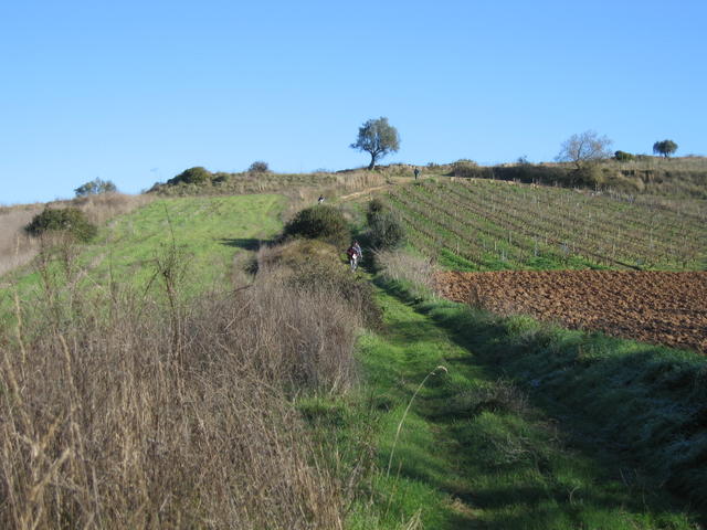 De Casal de Barbas ao Sobreiro