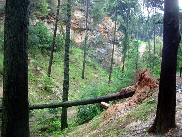 Efeitos do temporal no Parque da Pedra