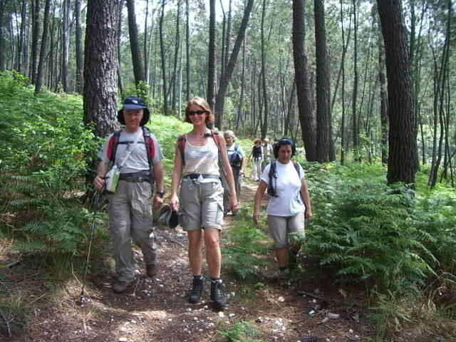 Caminhando na floresta