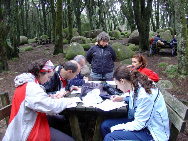 Curso de Orientação - Estratégia