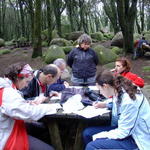 Curso de Orientação - Estratégia