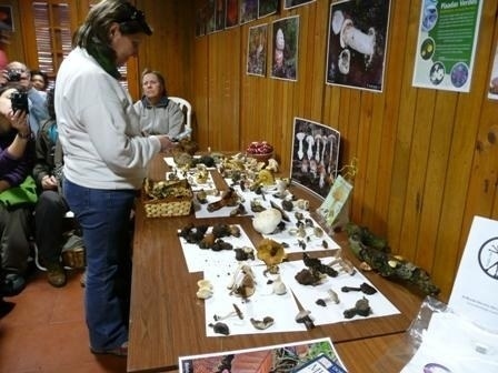 Admirando a mesa do espólio