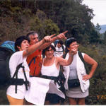 Para onde olham eles?