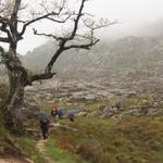 Paisagens mágicas 2