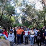 Parque Florestal de Monsanto