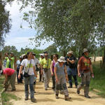 Parque Nacional de Doñana