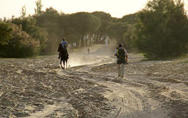 Parque Nacional de Doñana