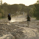 Parque Nacional de Doñana