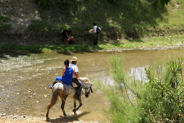 Parque Nacional de Doñana