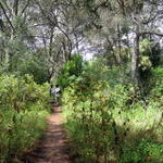 Parque Florestal de Monsanto