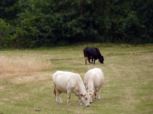Da Salsa à Mosca - 1º dia