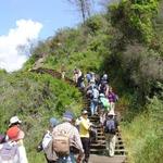 Passadiço à beira Tejo