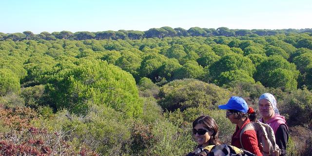 Não deixemos que estraguem a Mata dos Medos!