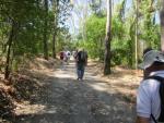 Parque Florestal de Monsanto