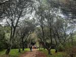 Parque Florestal de Monsanto